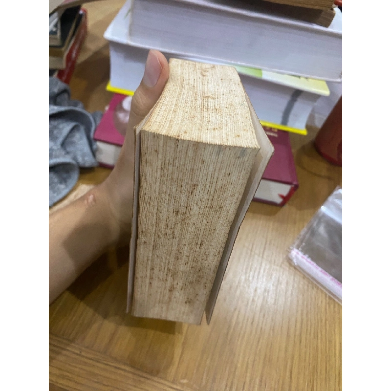 Từ điển chính tả thực dụng giản yếu - Xuân Huy 546800
