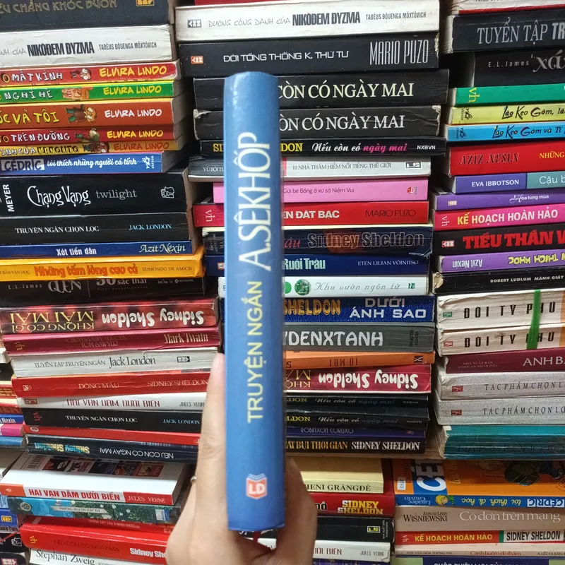 Truyện Ngắn A.SêKhốp 731339