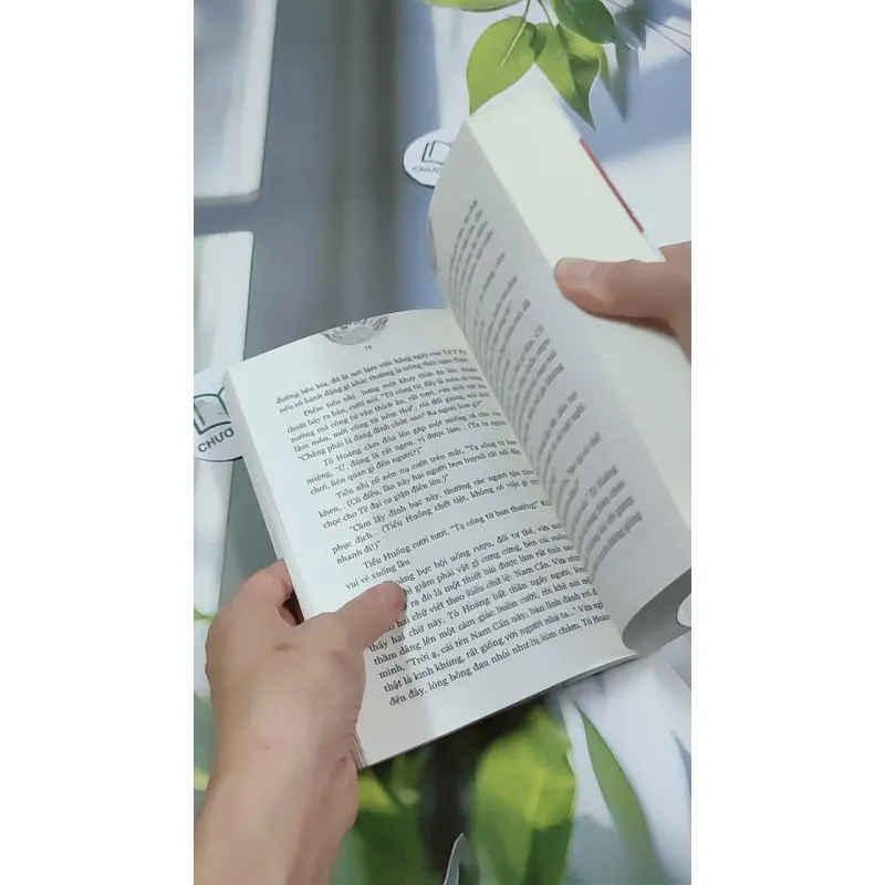 Nam Cực Tinh - Phong Duy 744707