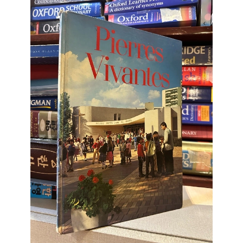 Pierres Vivantes 999580