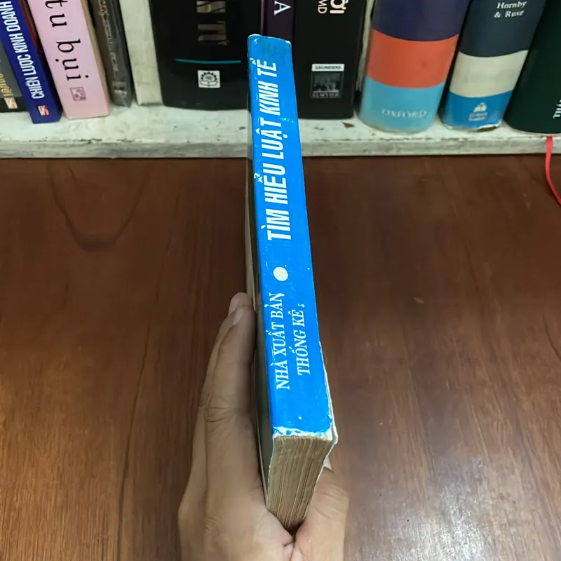 II Sách Kinh Tế: Tìm Hiểu Luật Kinh Tế - Trần Anh Minh, Lê Xuân Thọ - 1995 564784