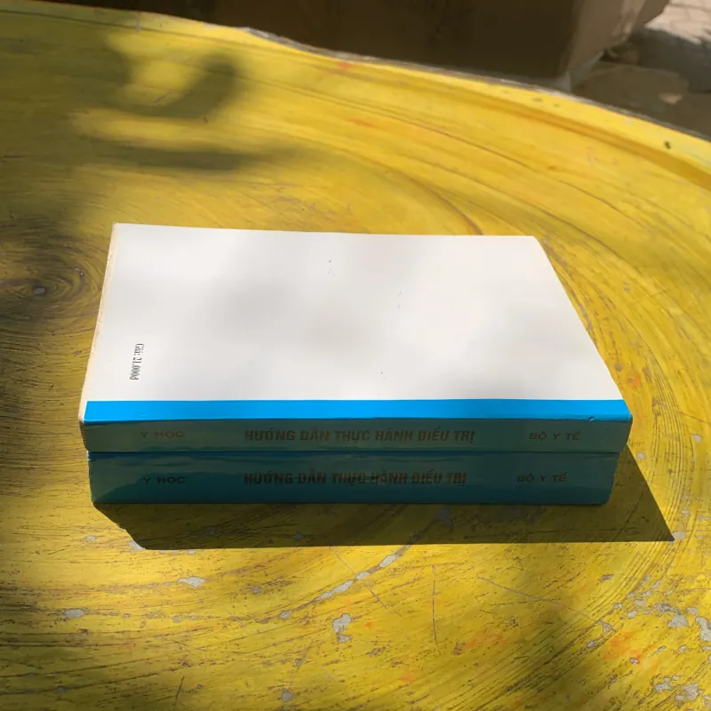 COMBO HƯỚNG DẪN THỰC HÀNH ĐIỀU TRỊ- BỘ Y TẾ 788055