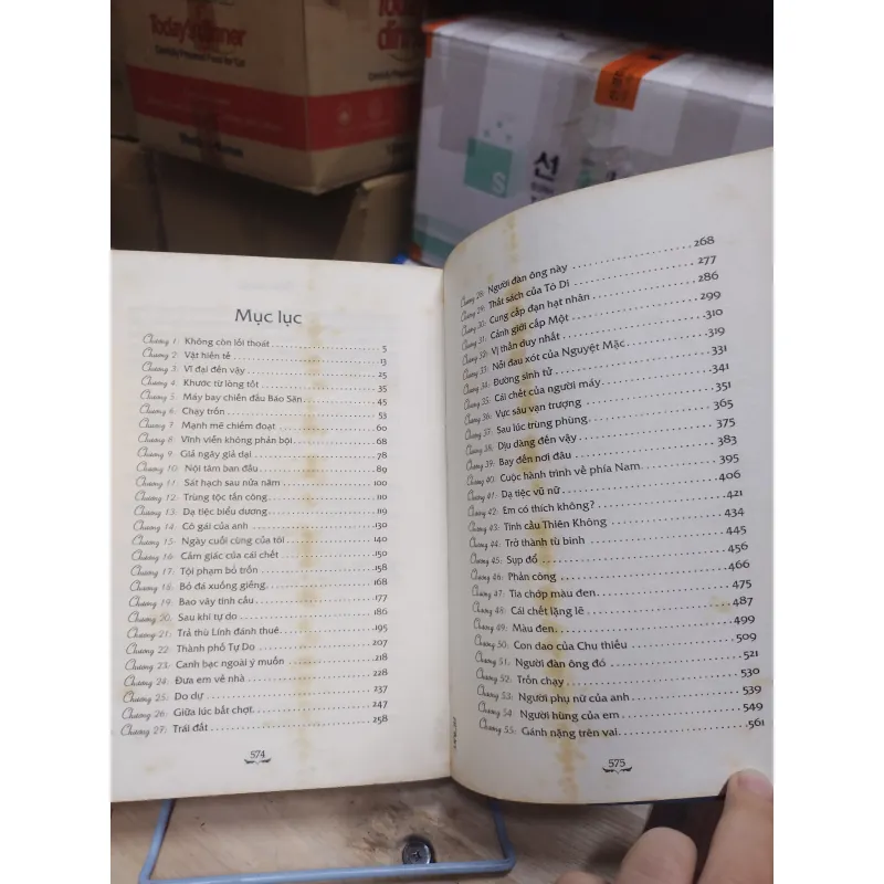 Sách: Mèo Hoang - TG: Đinh Mặc (Bộ 2 tập) - (B2) 936360