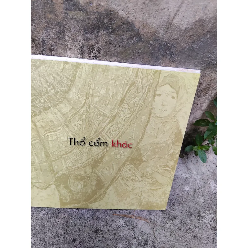 Thổ cẩm khác vựng tập hội họa của Đoàn Xuân Tặng  1006126