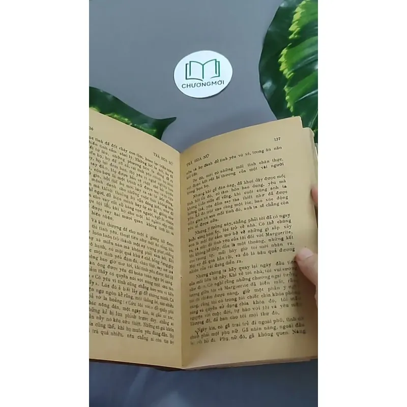 Trà Hoa Nữ 604659