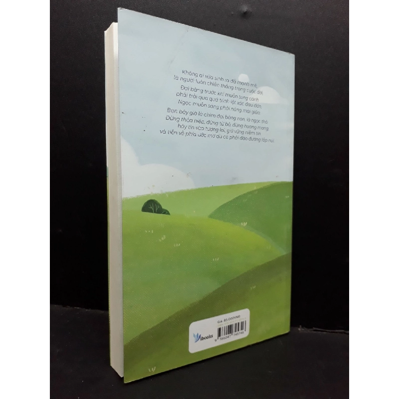 Ở lại thành phố hay về quê? mới 80% ố bẩn nhẹ 2018 HCM1410 Mèo Maverick TÂM LÝ 917025