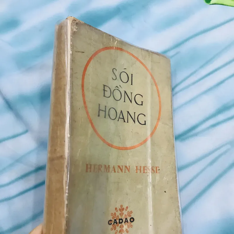 SÓI ĐỒNG HOANG - Hermann Hesse 591245