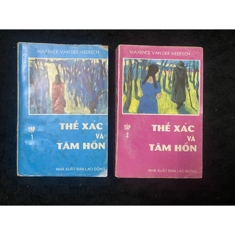 Thể xác và Tâm hồn- Maxence Van der Meersch. 1042335