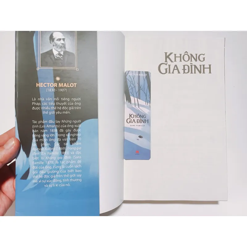 Không Gia Đình - Hector Malot 714306