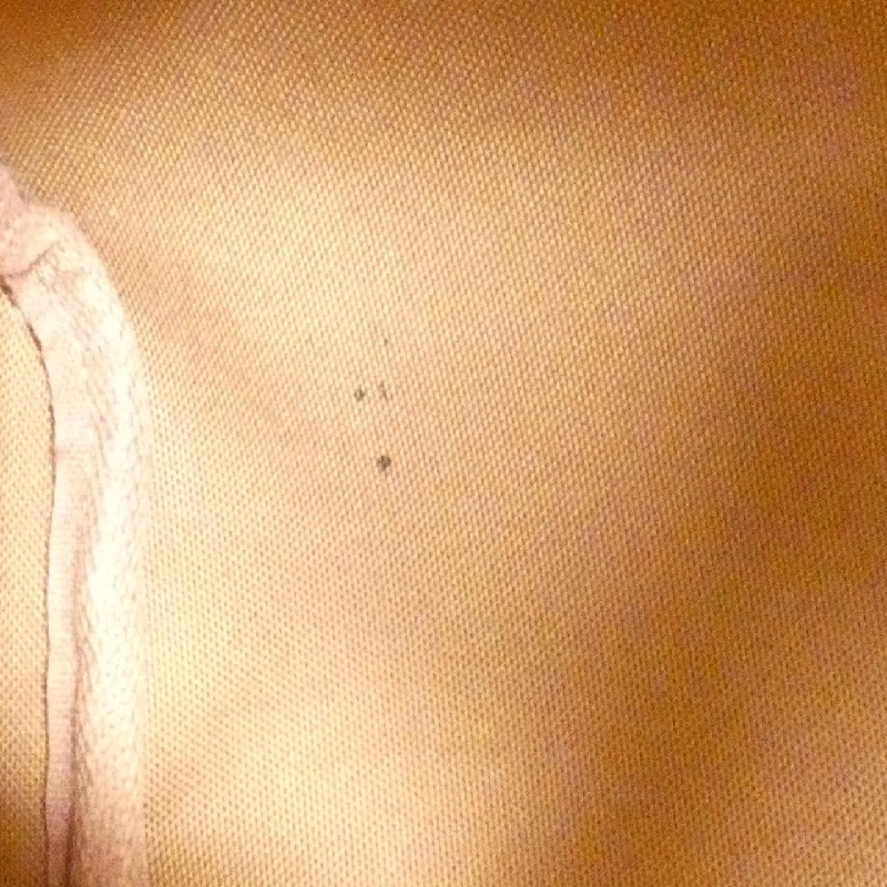 Túi xách Boston Louis Vuitton Monogram Speedy 30cm M41108 - Hàng hiệu Chính hãng 770618