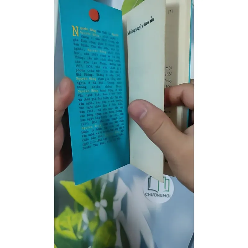 Những ngày thơ ấu - Nguyên Hồng 798423