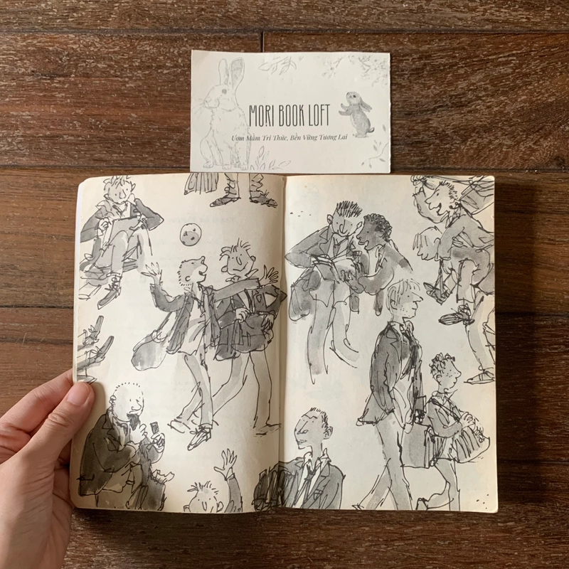Sách ngoại văn The Boy in the Dress – David Walliams, Used, cluong bìa xấu, trình độ B1 498780