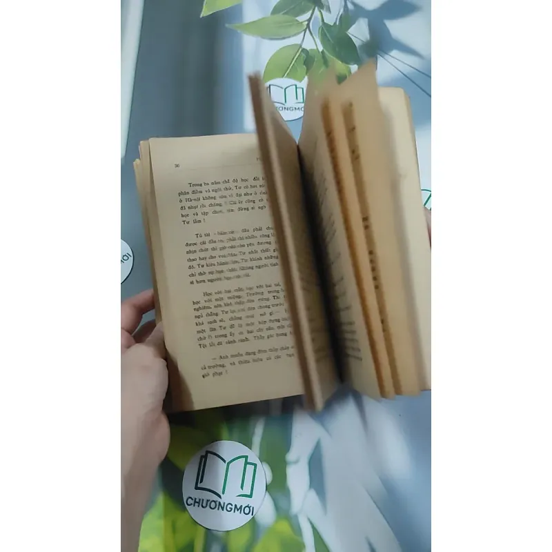 [MIỄN PHÍ BỌC SÁCH] [XƯA] Phấn Thông Vàng (1968) - Xuân Diệu 776042