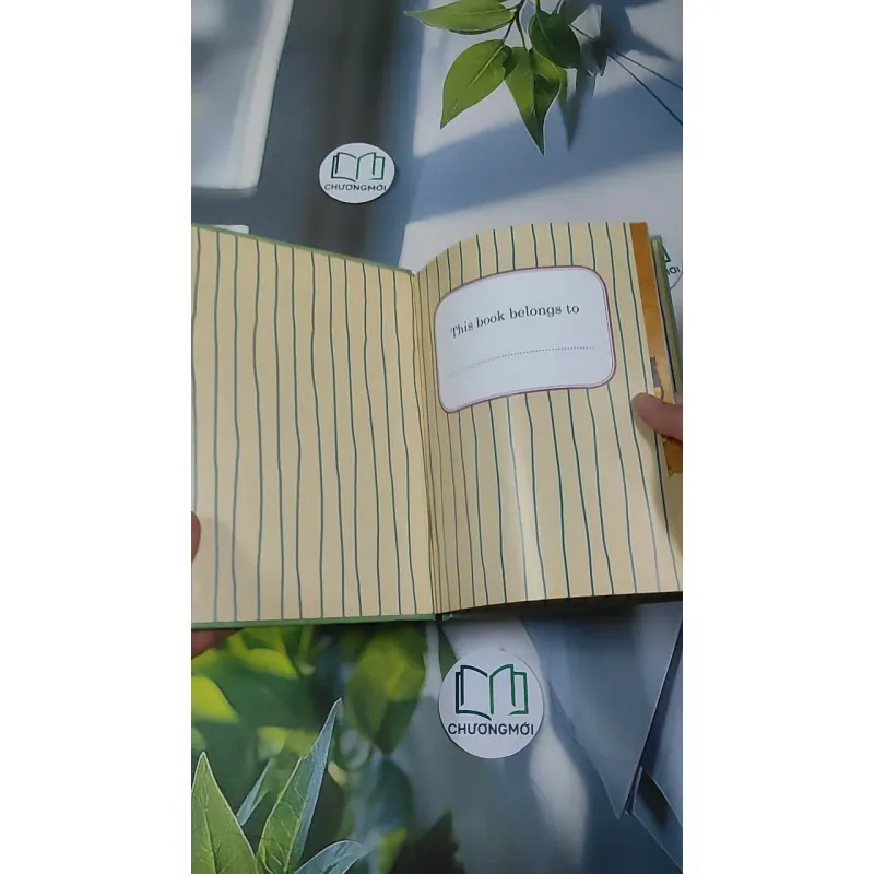 First Reader: Rumpelstiltskin 990507