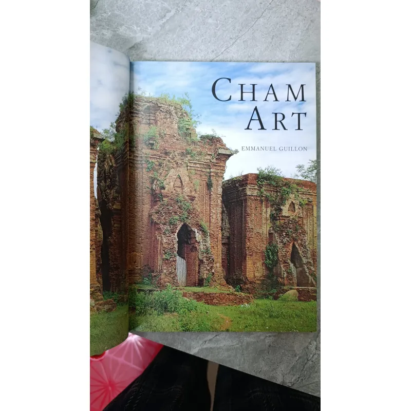 CHAM ART TREASURES FROM THE DÀ NANG MUSEUM, VIETNAM 692986