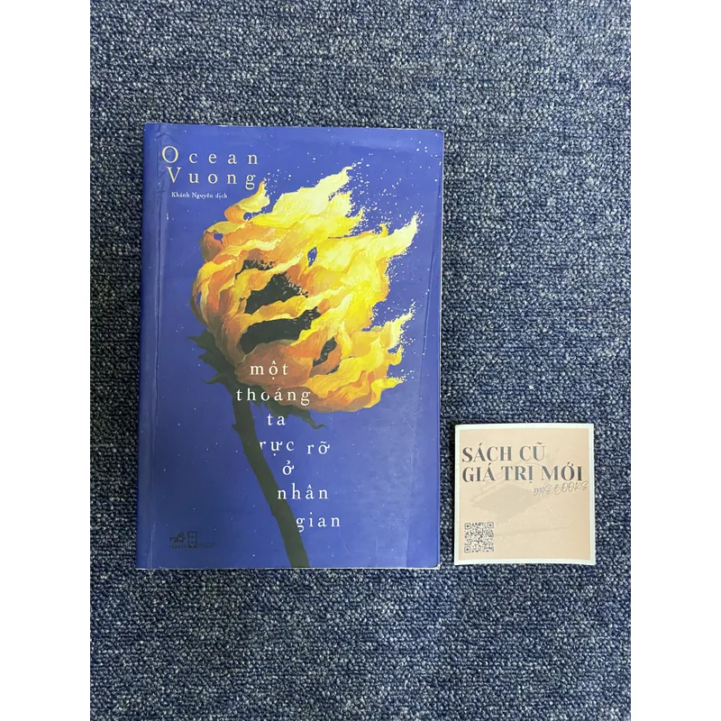 Một thoáng ta rực rỡ ở nhân gian 637711