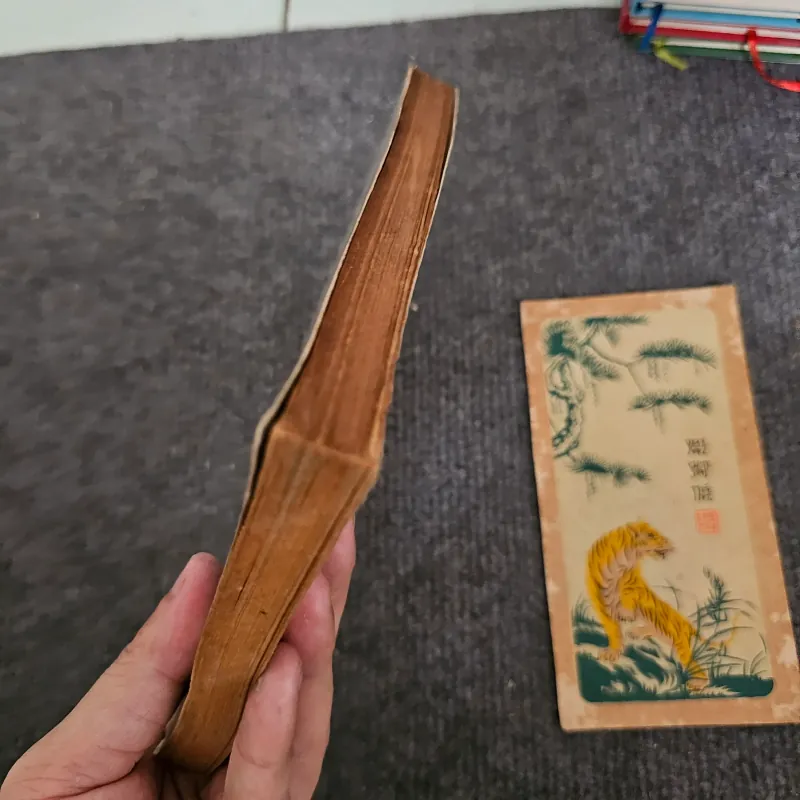 Thức cùng trang văn 11 nhà văn Huế đương đại 745886