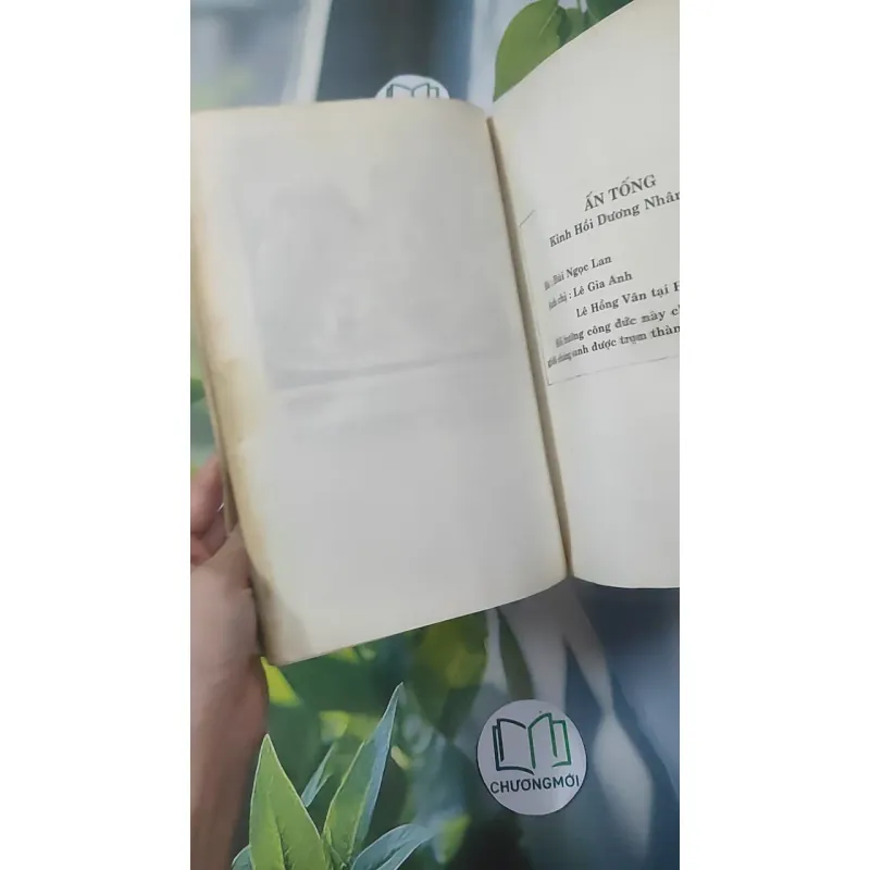 Hồi Dương Nhơn Quả 1018902