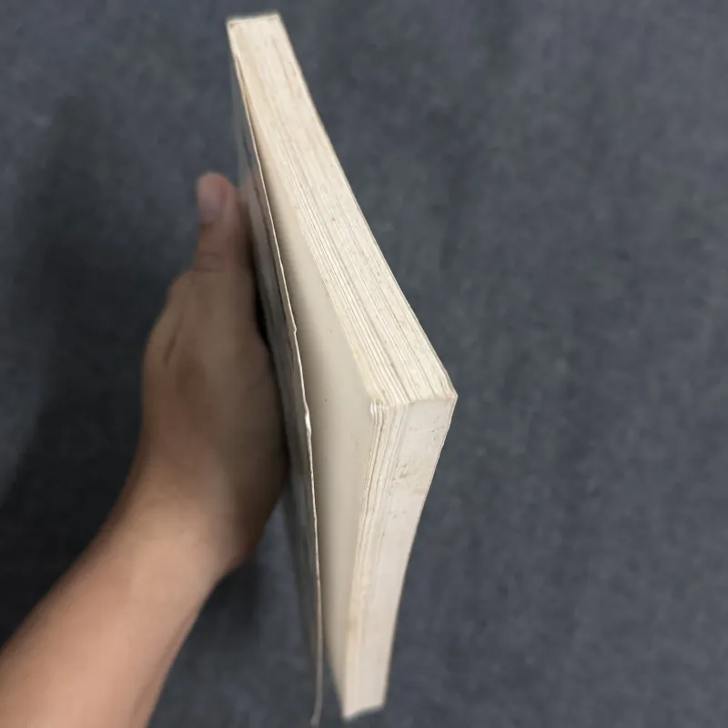 Giới đàn ông - Watanabe Junichi 1031700