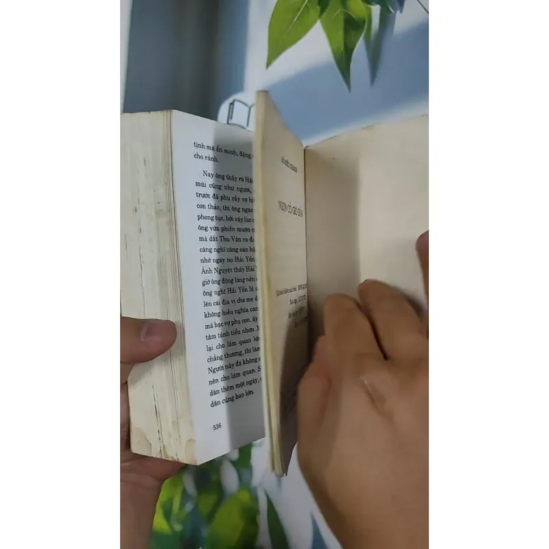 Combo Truyện: Ngọn cỏ gió đùa, Khóc thầm - Hồ Biểu Chánh 798500