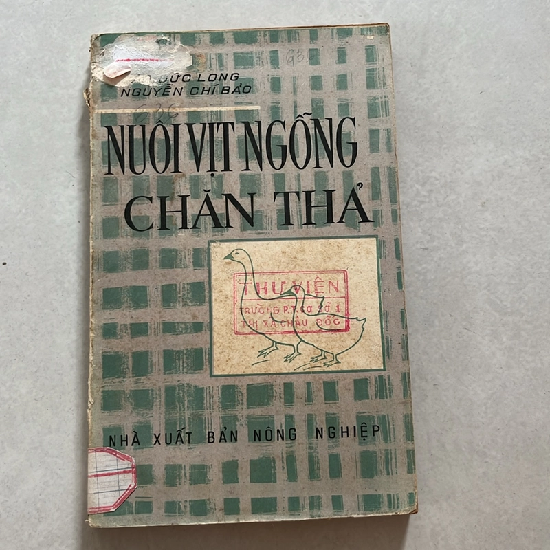 Nuôi vịt ngỗng chăn thả — 1979s 498350