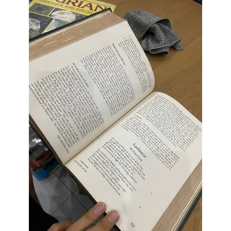 English Literature - Edward J. Gordon 553262
