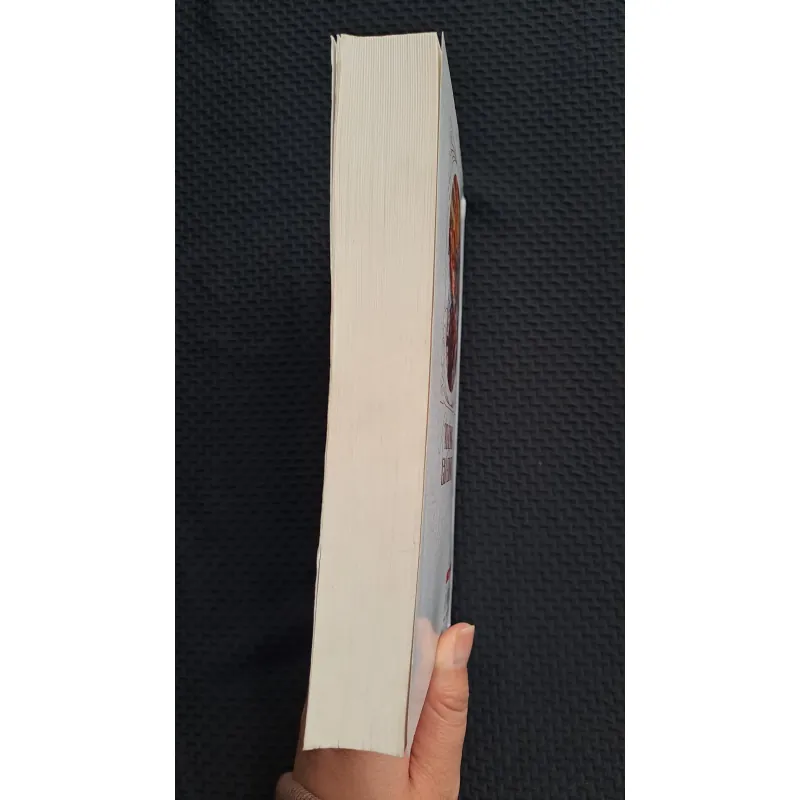 Không gia đình - Hector Melot 745401