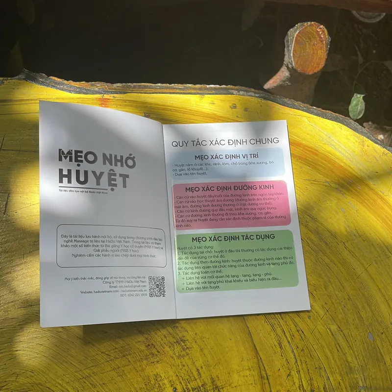 MẸO NHỚ HUYỆT(3) TÀI LIỆU ĐÀO TẠO NỘI BỘ HADU VIỆT NAM TH.S NGUYỄN THỊ HẢI DUY 592880