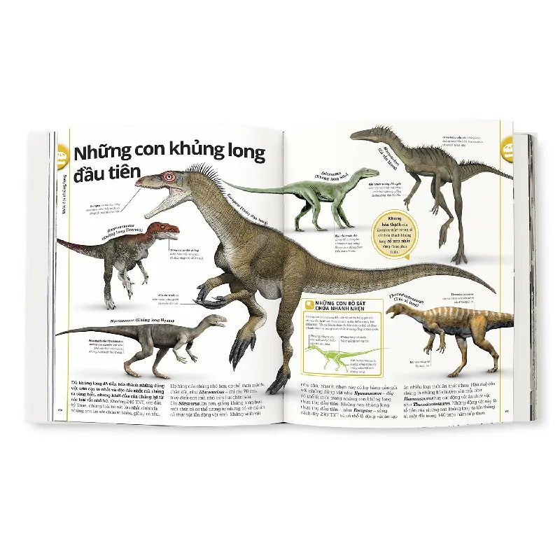 Khủng Long - DK 690114