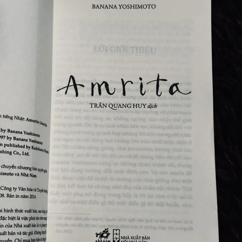 Amrita - Banana Yoshimoto 755448