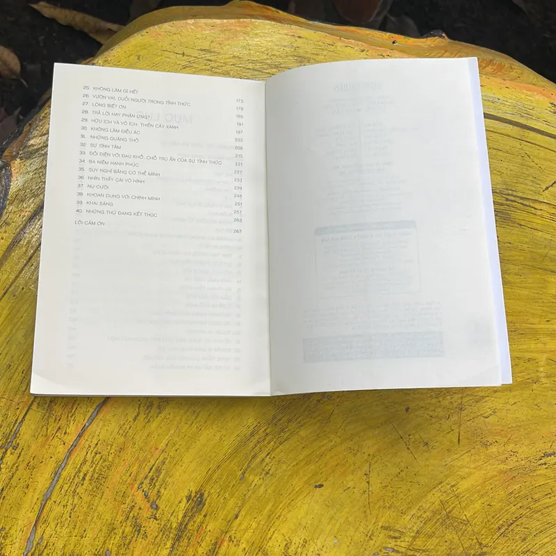 COMBO THIỀN - 3 PHÚT THIỀN - CẨM NANG CỦA MỘT THIỀN GIA cách tháo gỡ các nút thắt 708098