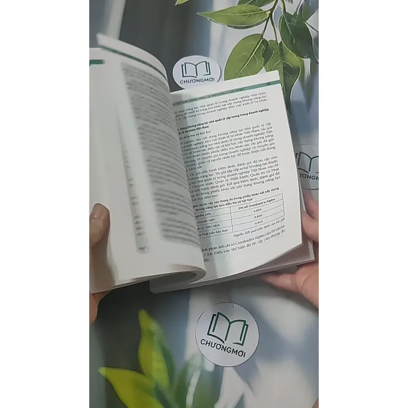 Khung năng lực nhà quản lý cấp trung trong doanh nghiệp khu vực kinh tế tư nhân Việt Nam  688426