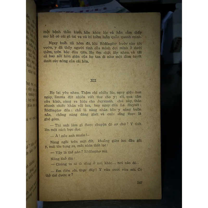 Bà Bôvary - G. Flôbe 790443