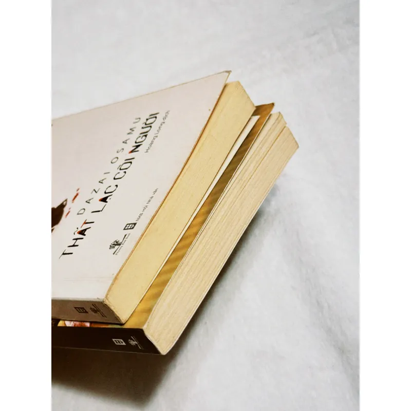 Combo Dazai Osamu 701862