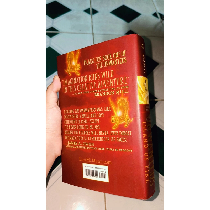 Sách Chapter: The Unwanteds  - Island of Fire (Lisa McMann) #NYT Bestselling series  470396