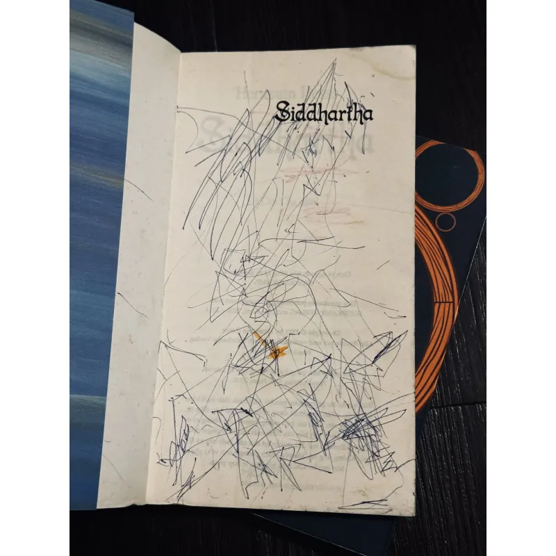 Combo 2c Hermann Hesse 994195