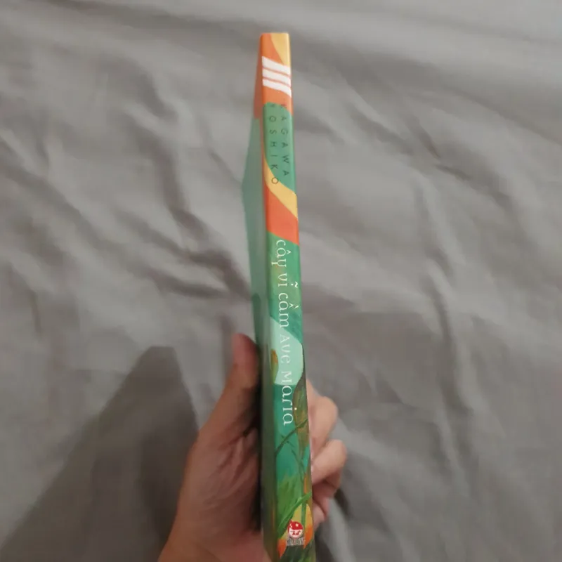 Cây Vĩ Cầm Ave Maria 1017976