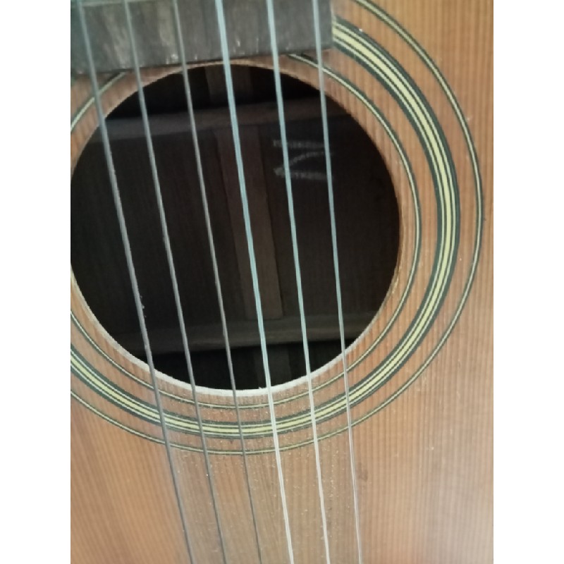 Đàn Guitar cho người mới tập 13890