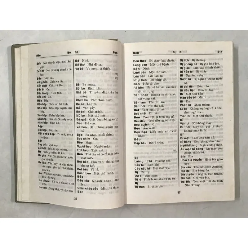 Tự Vị Annam Latinh_ Từ điển La tinh sớm nhất (rất giá trị, hết tái bản) 696093