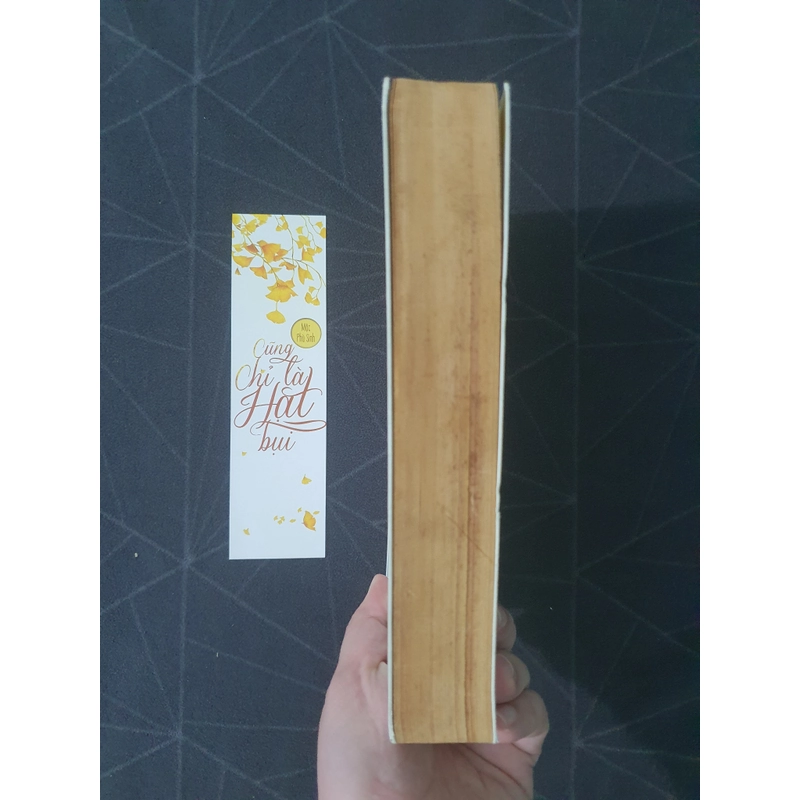 "Cũng chỉ là hạt bụi" - Mộc Phù sinh 476065