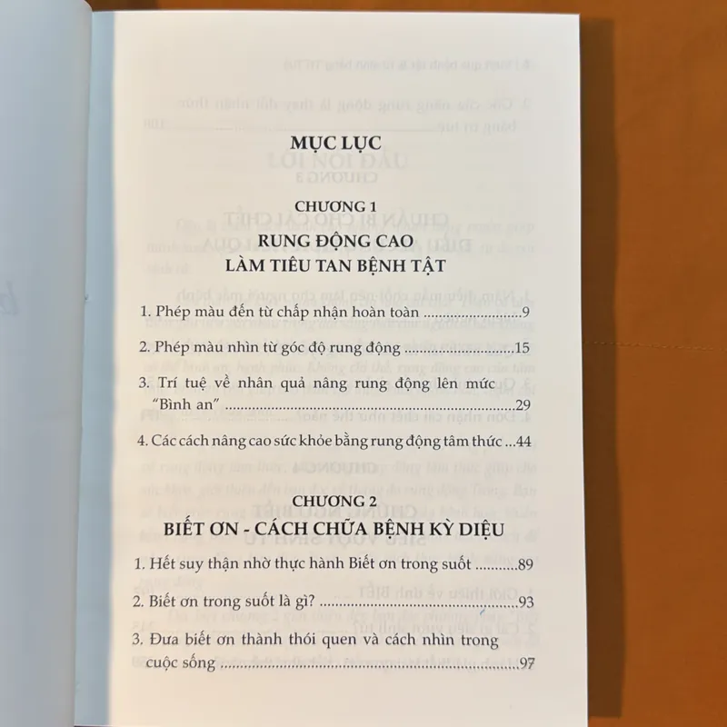 Vượt qua BỆNH TẬT và SINH TỬ bằng TRÍ TUỆ - TRONG SUỐT 720587