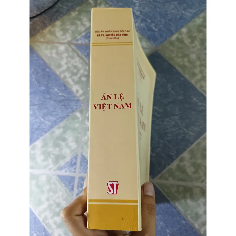 Án lệ Việt Nam - Nguyễn Hòa Bình 748563