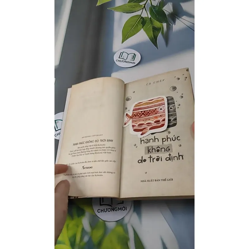 Hạnh Phúc Không Do Trời Định - Cá Chép 727225