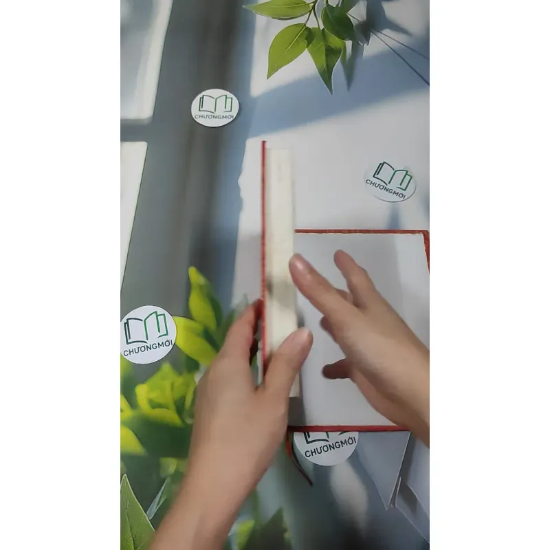 Chuyện Tình Vua Chúa Hoàng Tộc Việt Nam - Đinh Công Vĩ 990453