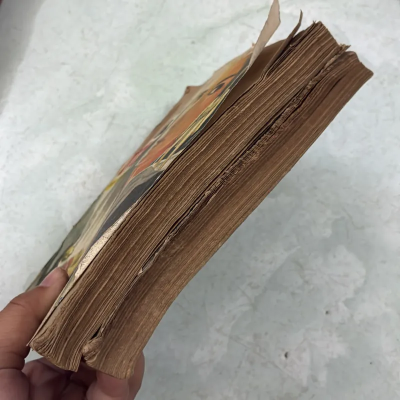 Công chúa Otomi (Bộ 2 tập) - 1988s 1019250