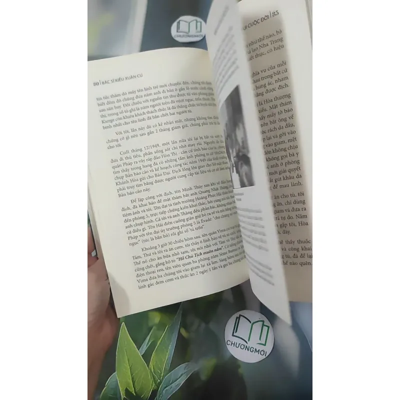 Niềm Vui Cuộc Đời - Kiều Xuân Cư 1018924