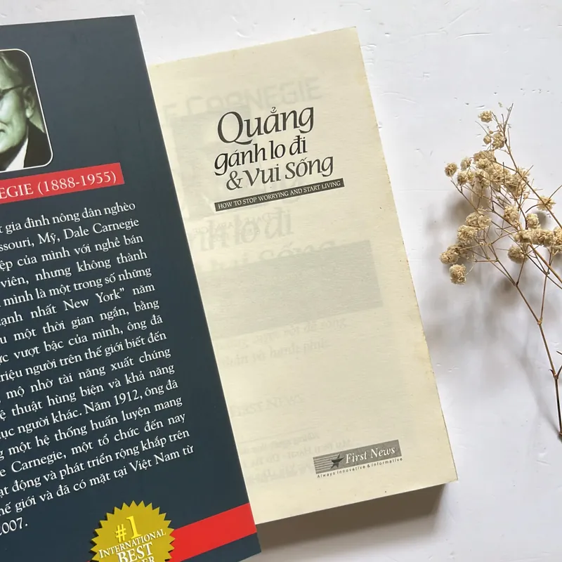 Quẳng gánh lo đi và vui sống - Dale Carnegie 568431