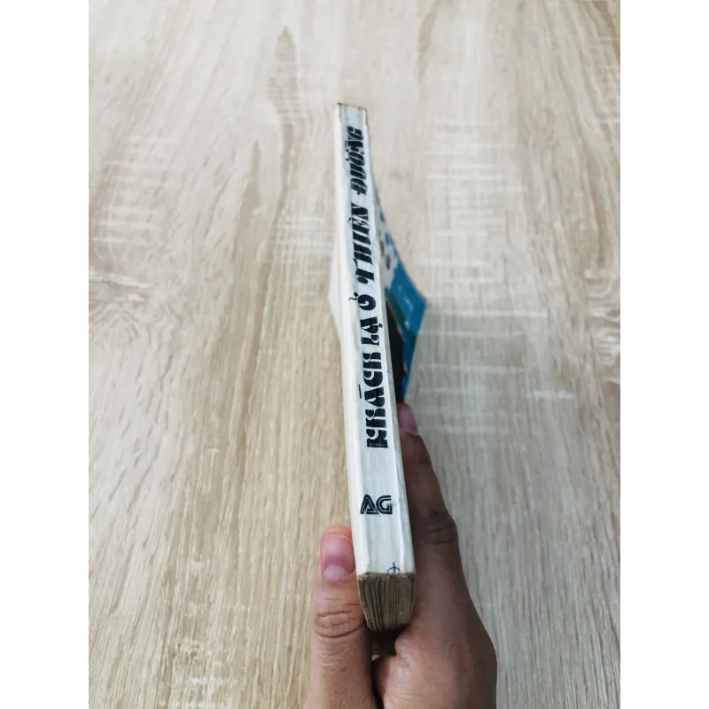 KHÁCH LẠ Ở THIÊN ĐƯỜNG  961435