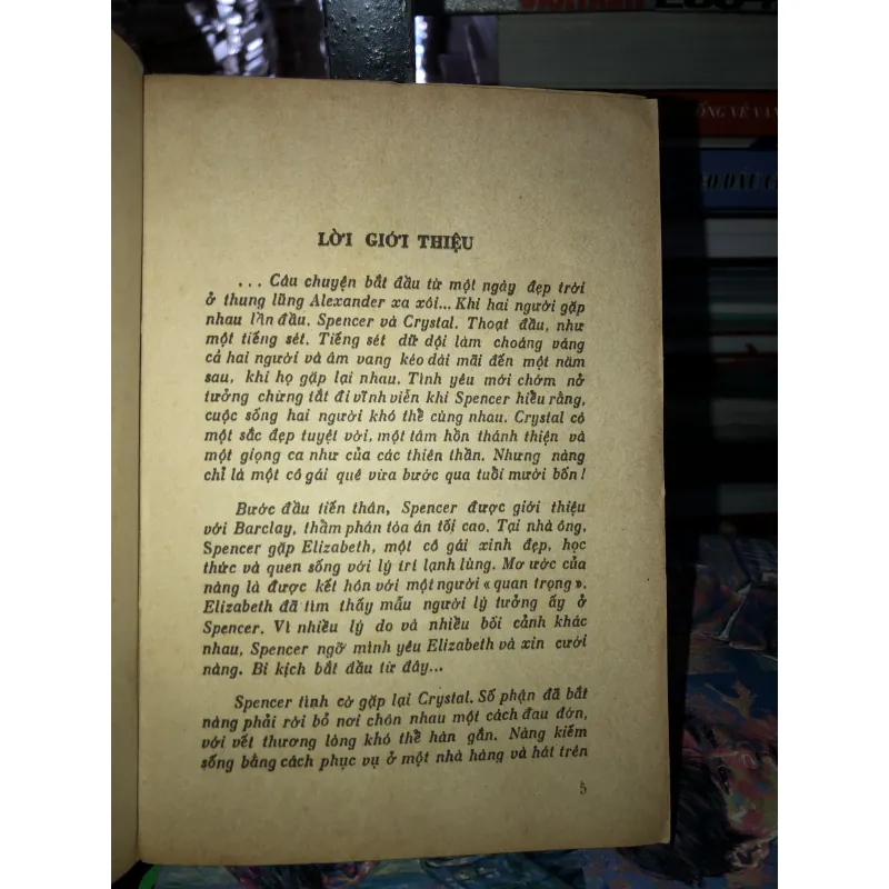 Nữ minh tinh - Danielle Steel  974023