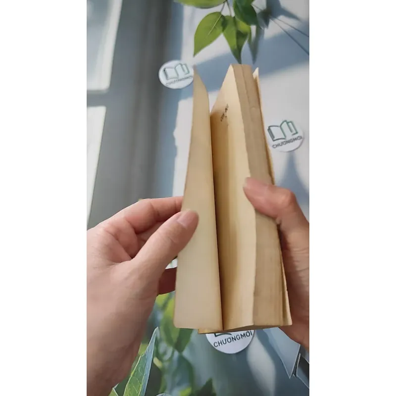 [XƯA] [HIẾM] Con Bụi (1990) - Trần Chiến 997596